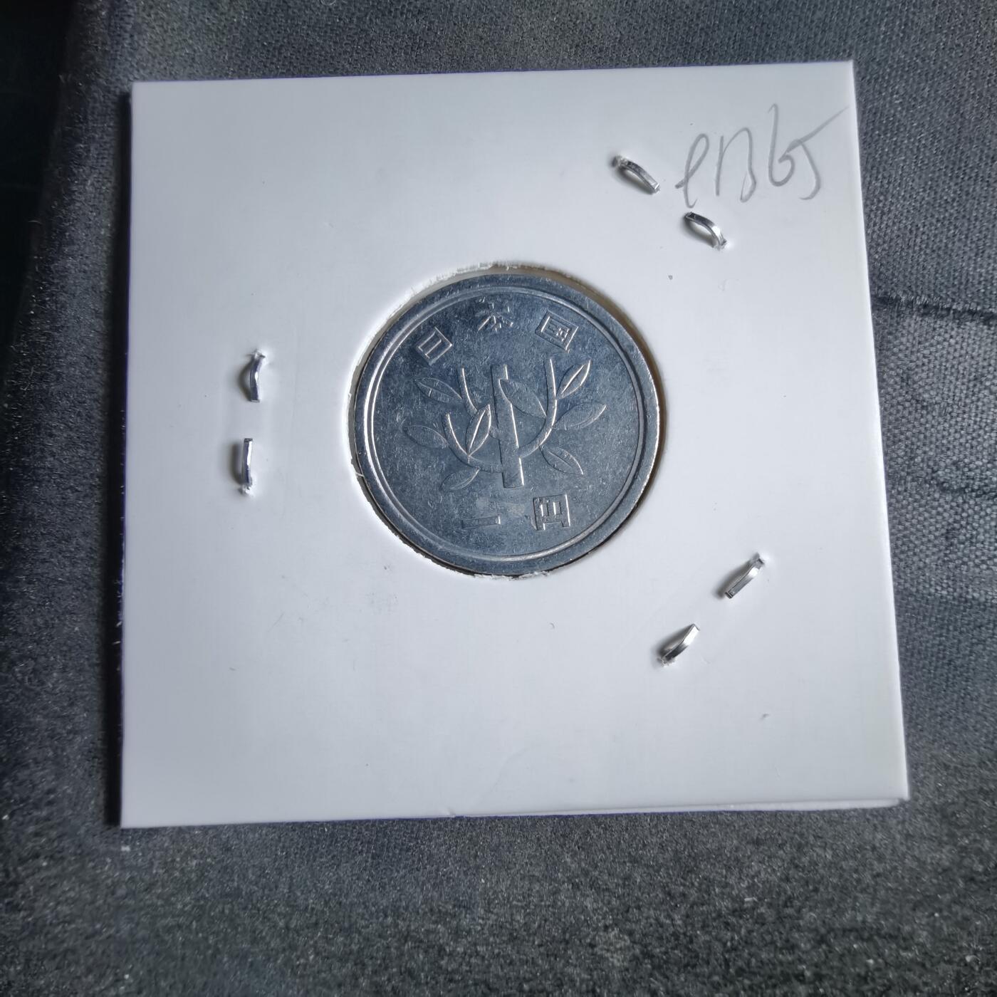 沼泽如烟--第891场