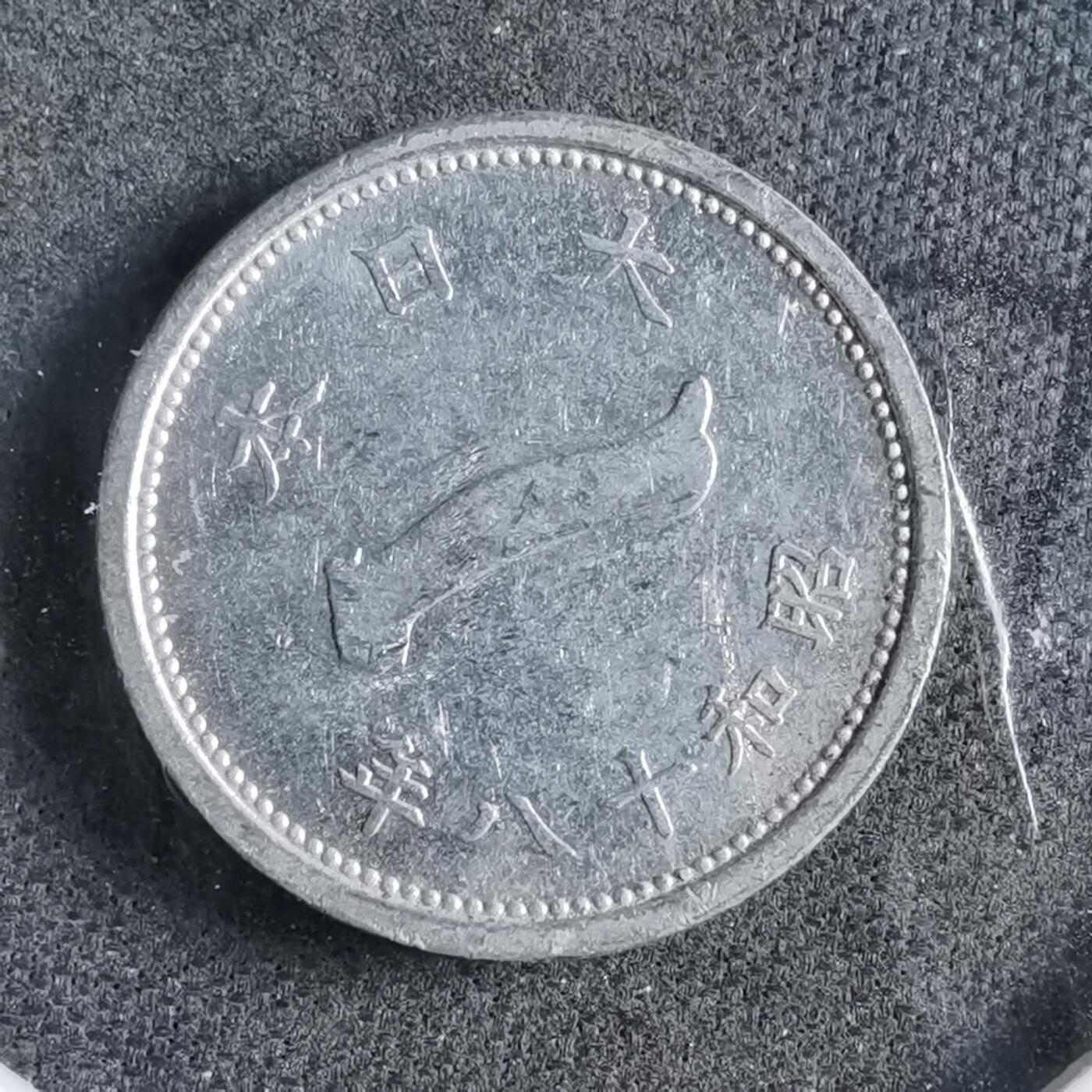 沼泽如烟--第891场