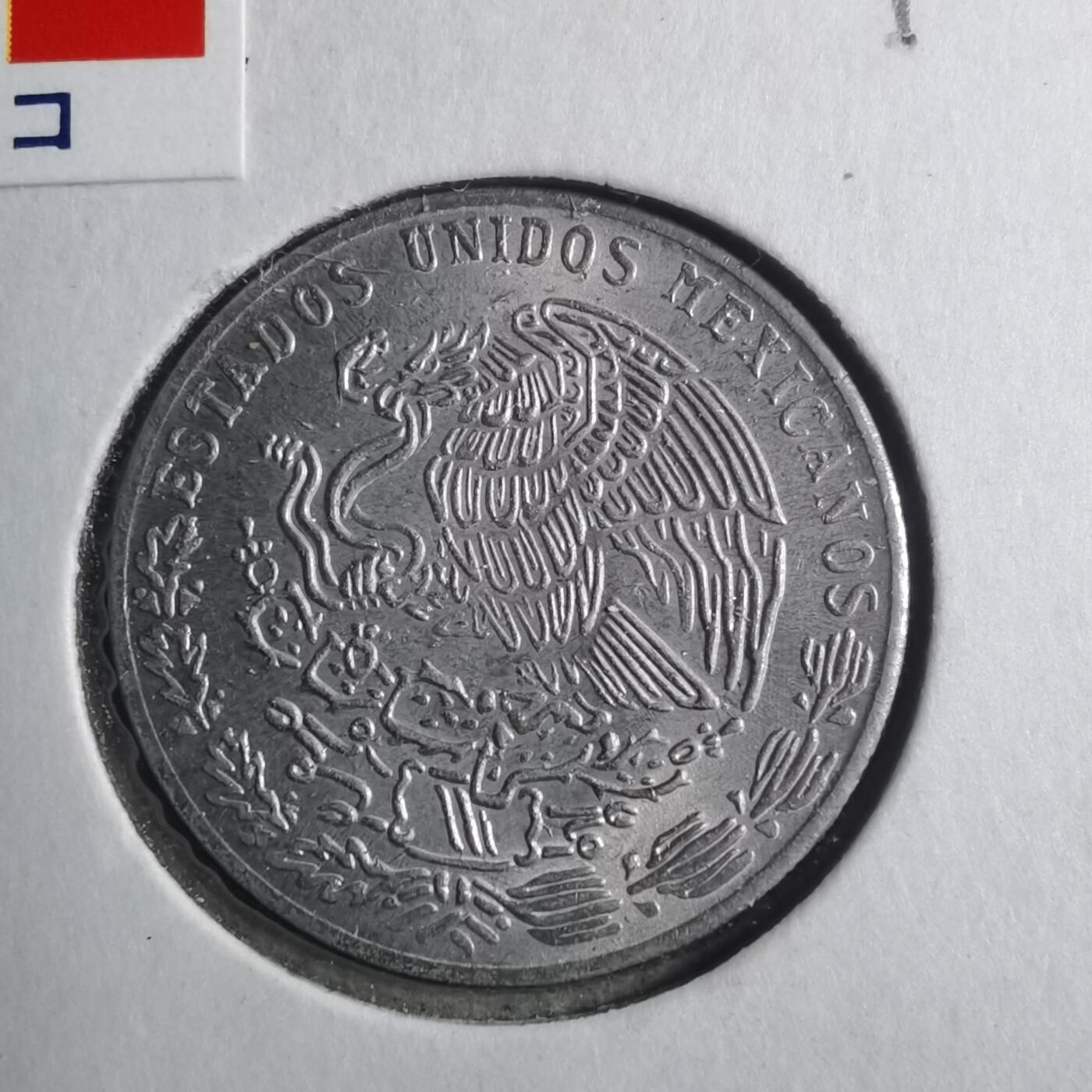 沼泽如烟--第893场