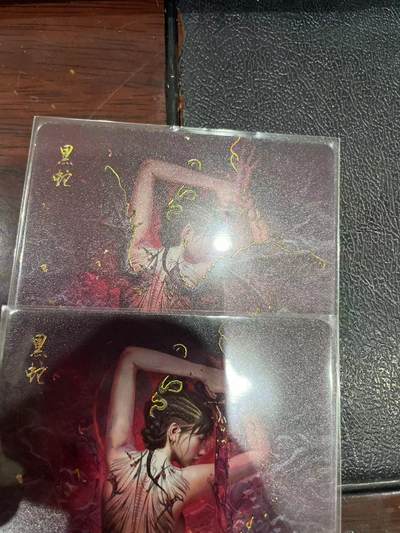 寸草不生拍卖会 第十三期 （ 持续收拍中） - 燎原卡牌 ST-Brush 老师 刷子老师作品 幻彩双服饰 -黑蛇