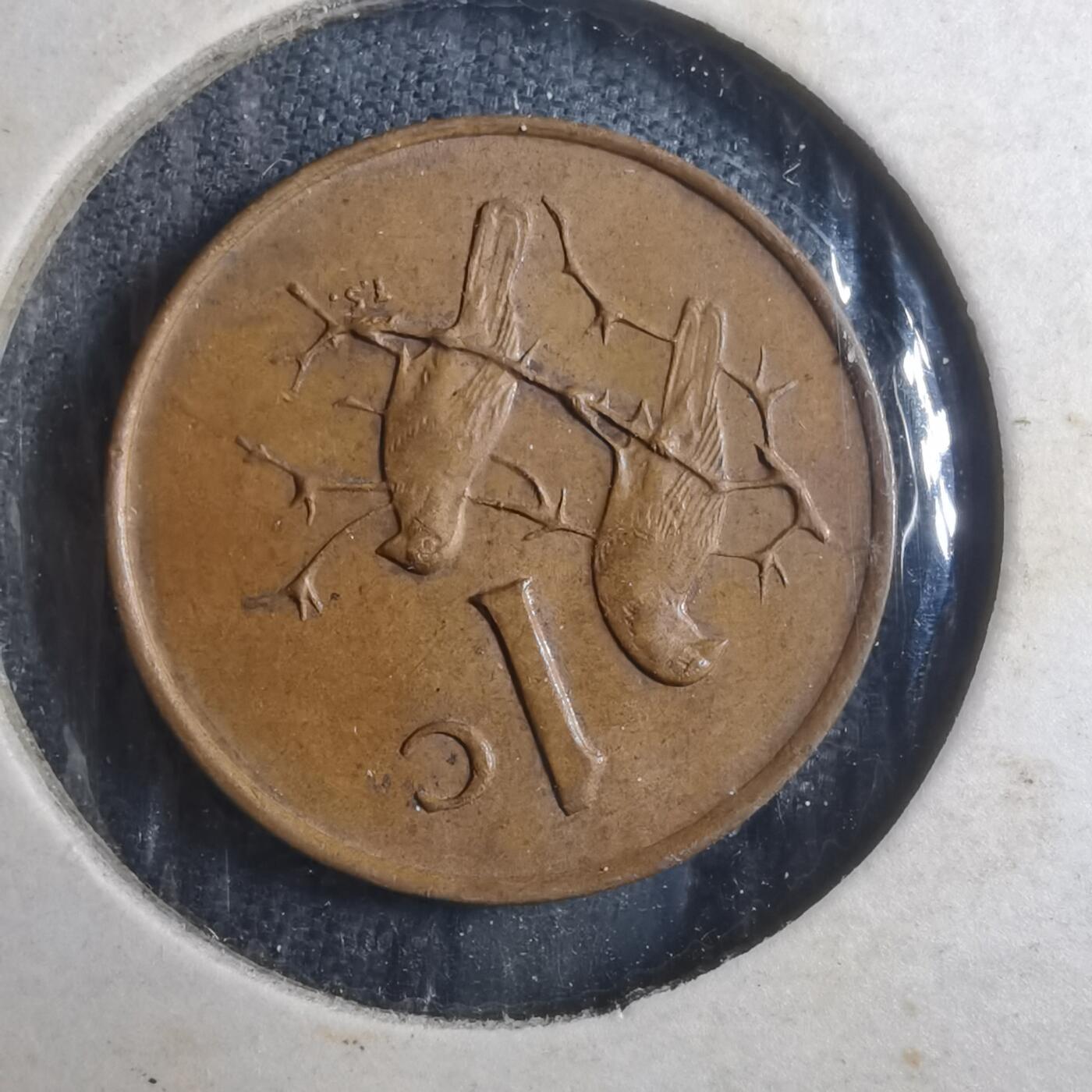 沼泽如烟--第893场