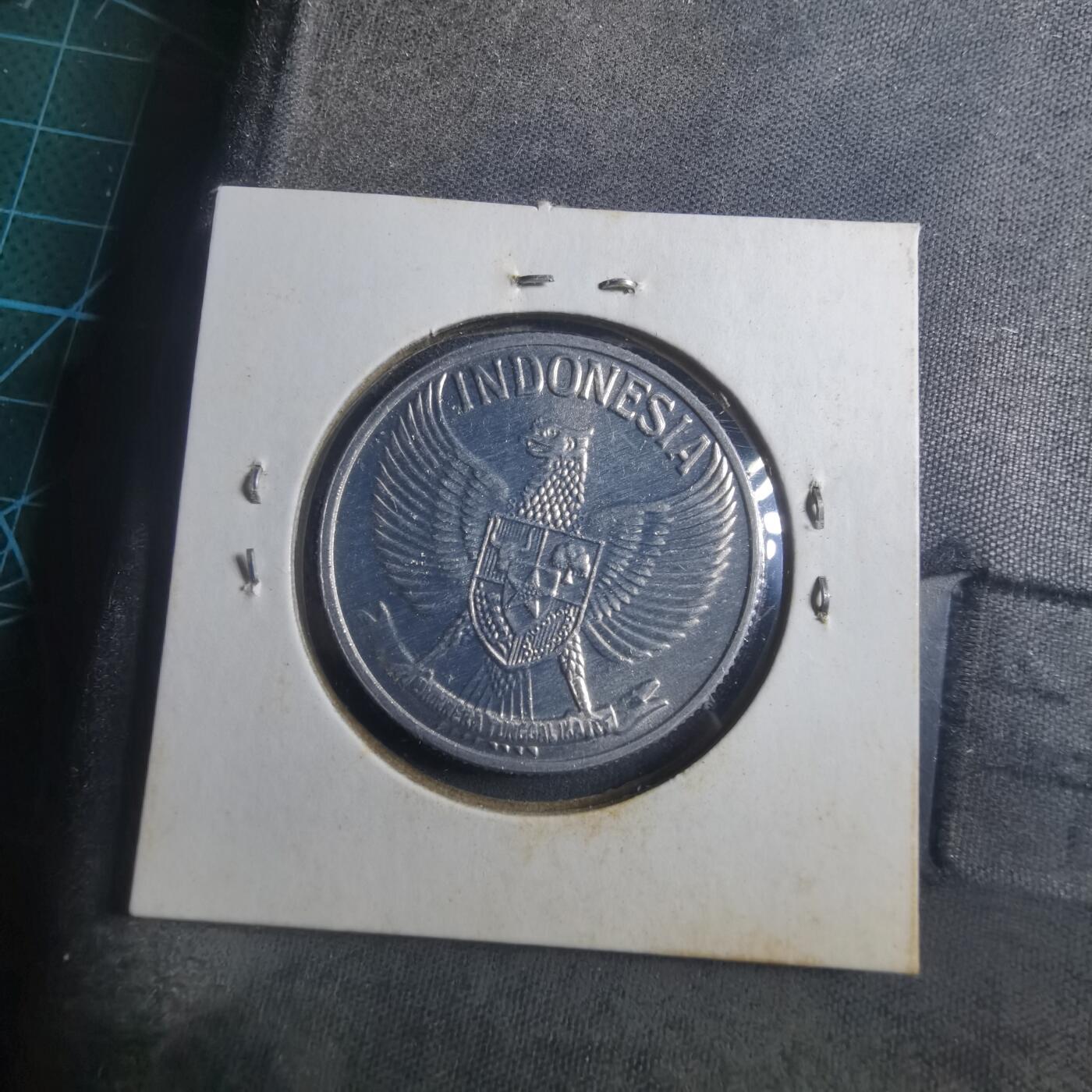 沼泽如烟--第893场