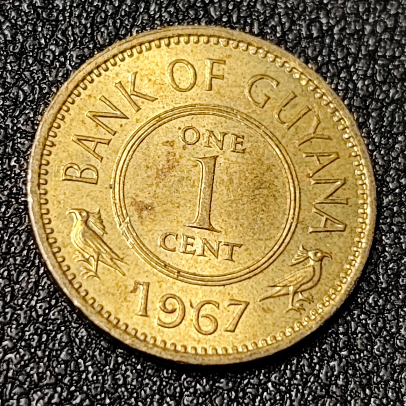 泉币菌-第125场-126场 并场 精品福利场(115场之后的本周末发货，感谢理解) 。