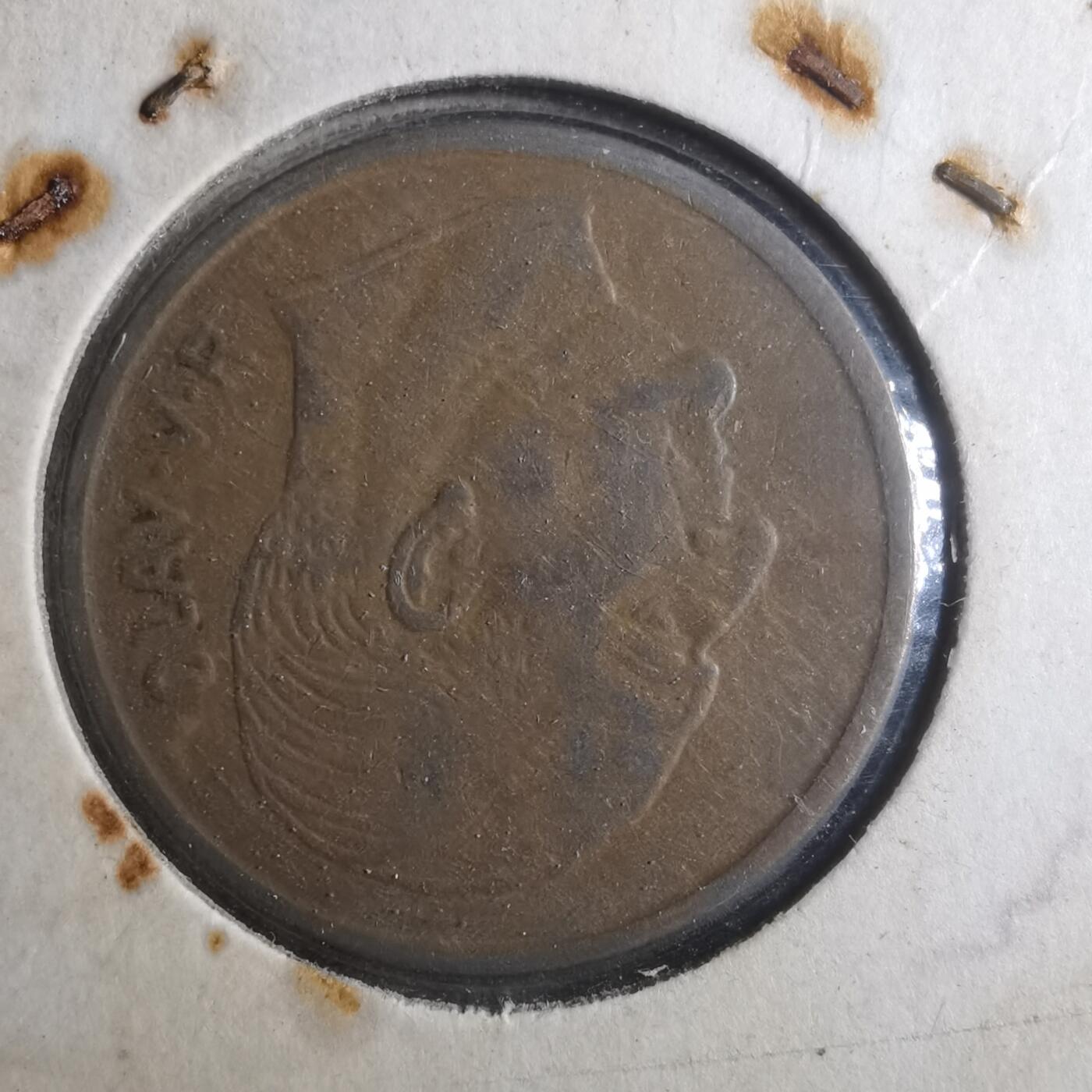 沼泽如烟--第893场