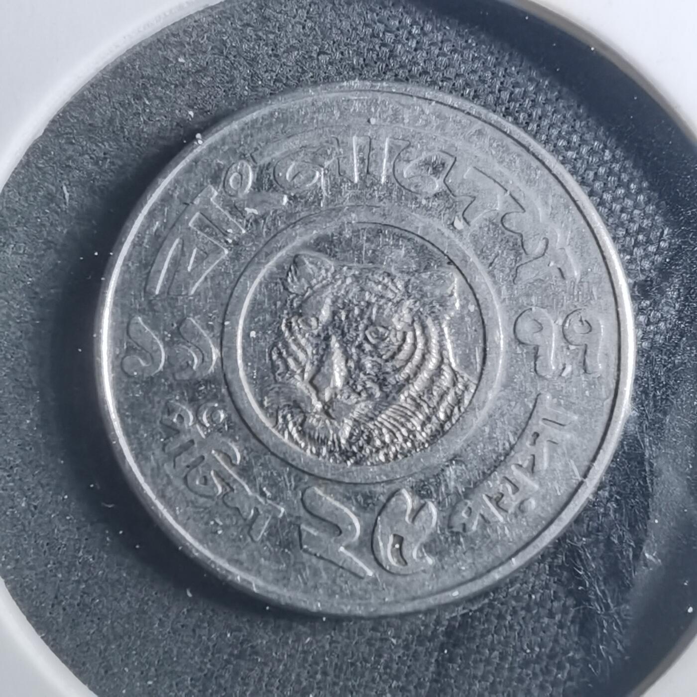 沼泽如烟--第893场