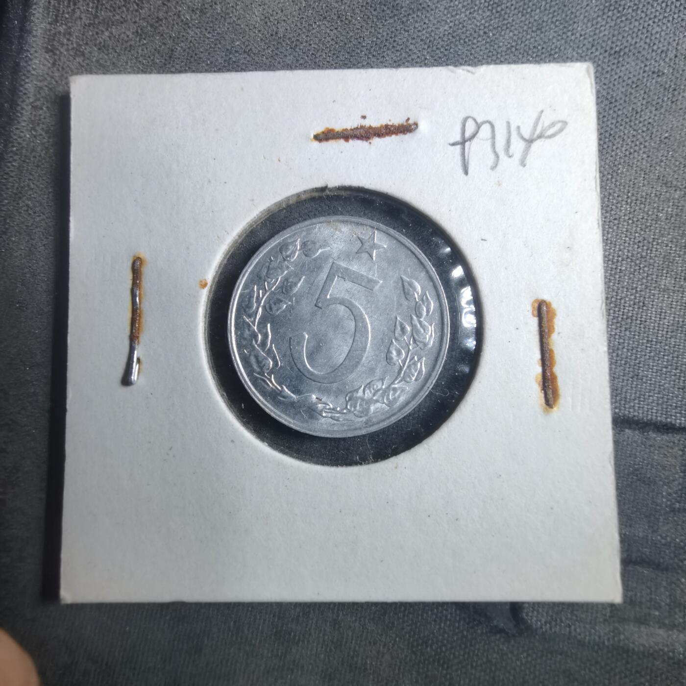 沼泽如烟--第893场