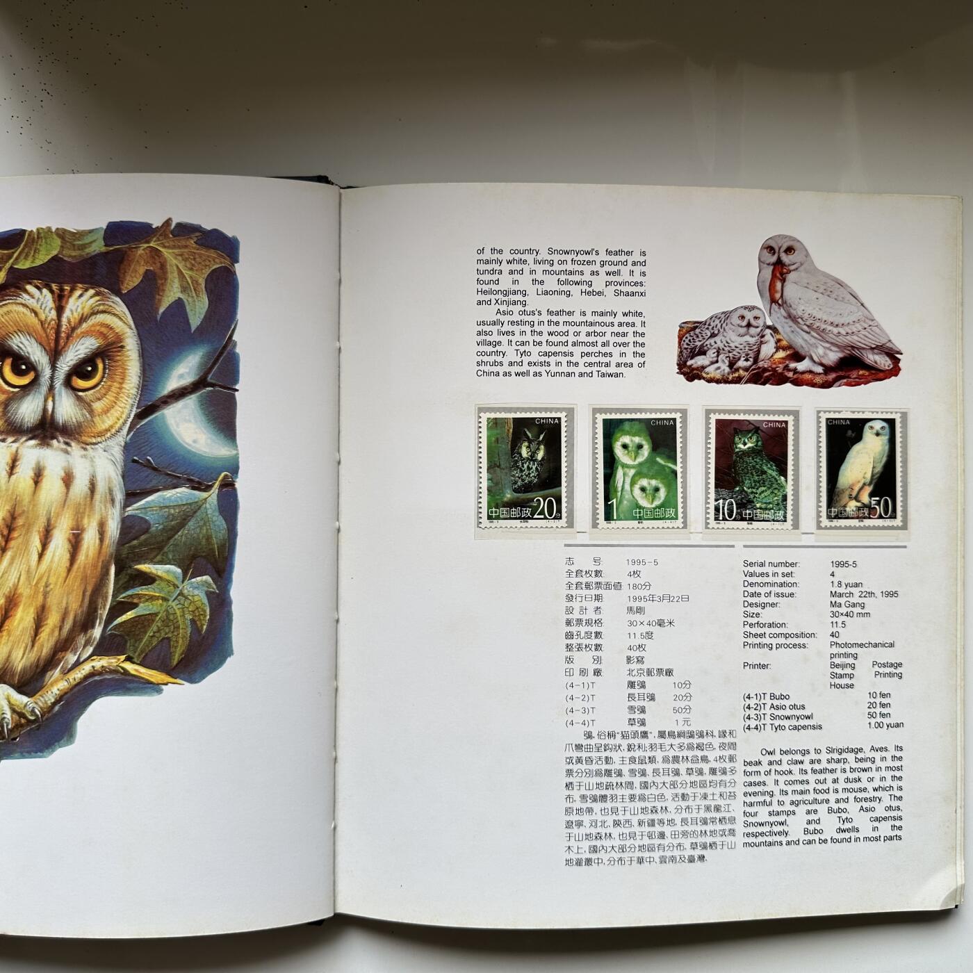 🌹外币初藏🌹🐯2025年第125场  每周二四六晚8️⃣点 接代拍