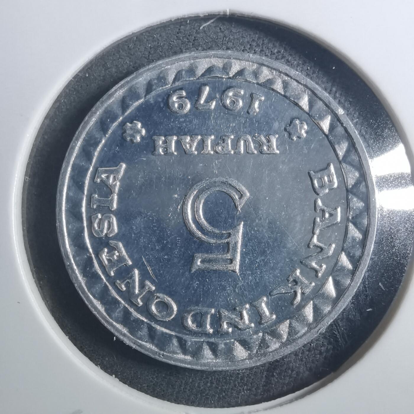 沼泽如烟--第893场