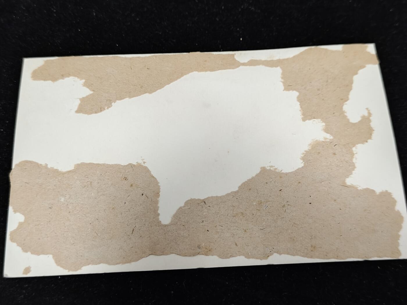 0元起拍勋章 第308期 咸鱼国勋章拍卖专场 11月7日（周日）下午6：00开始