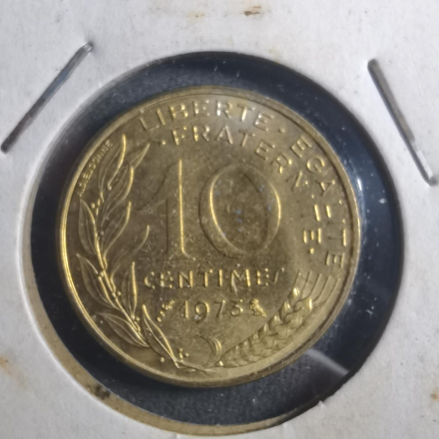 沼泽如烟--第893场