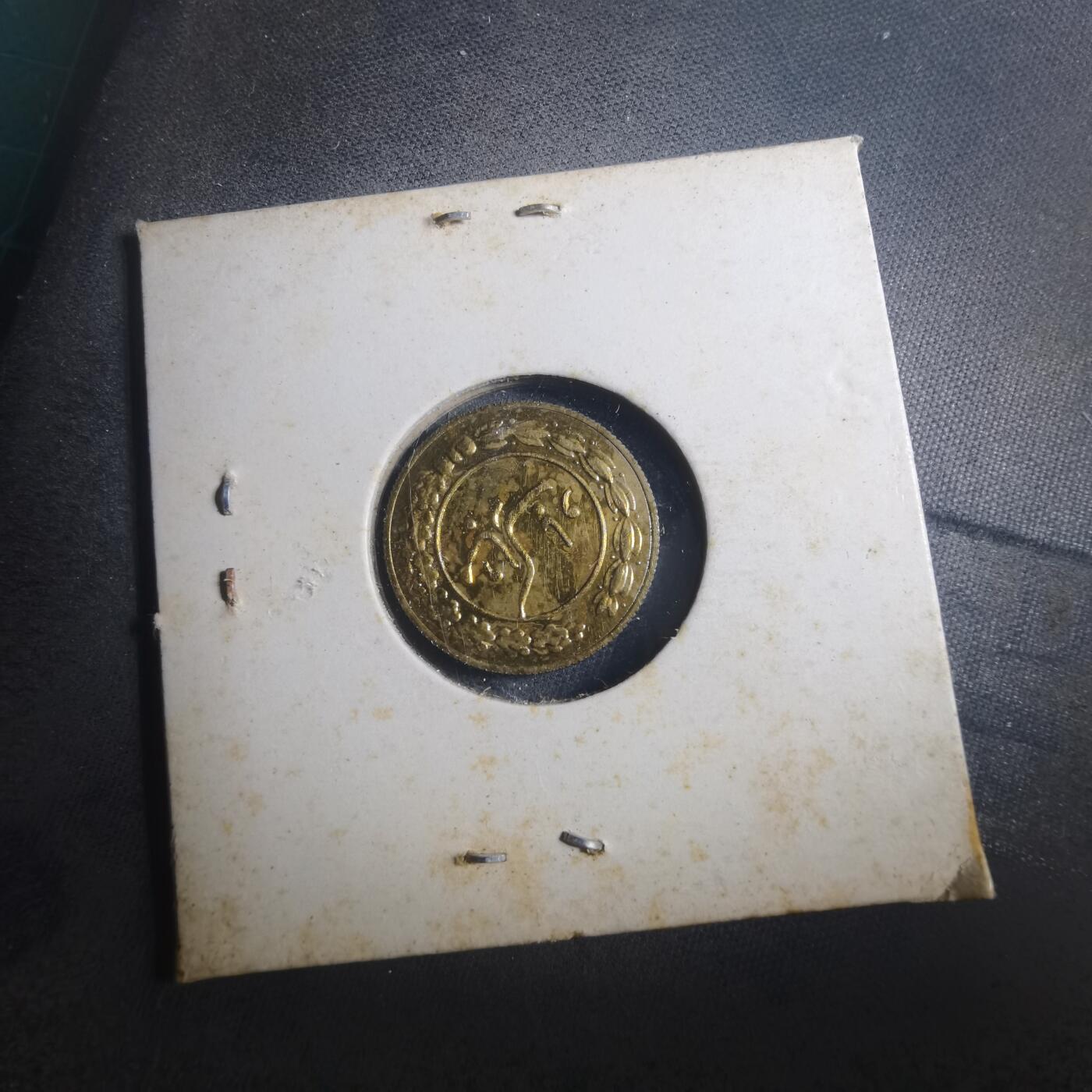 沼泽如烟--第893场 伊朗代币