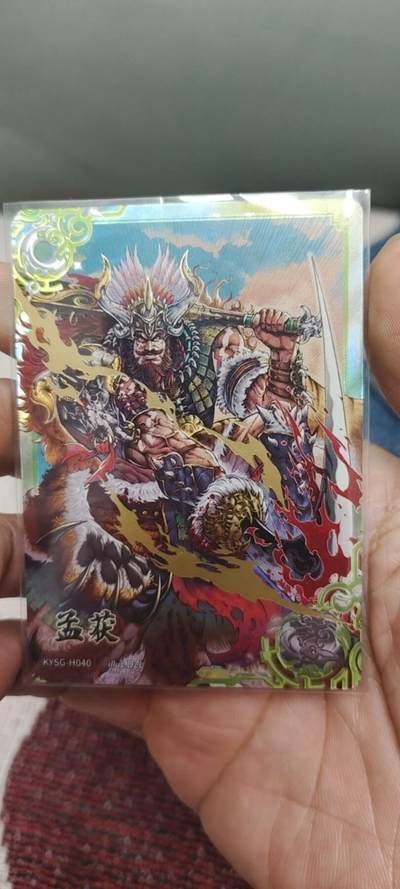 秋原瞳的小店第二十八期（持续收拍，深夜入冬的稀雨，总是静寂的……） - 卡游三国豪杰——孟获