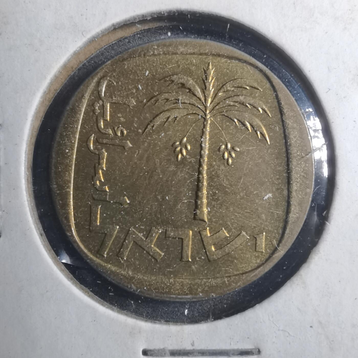 沼泽如烟--第893场