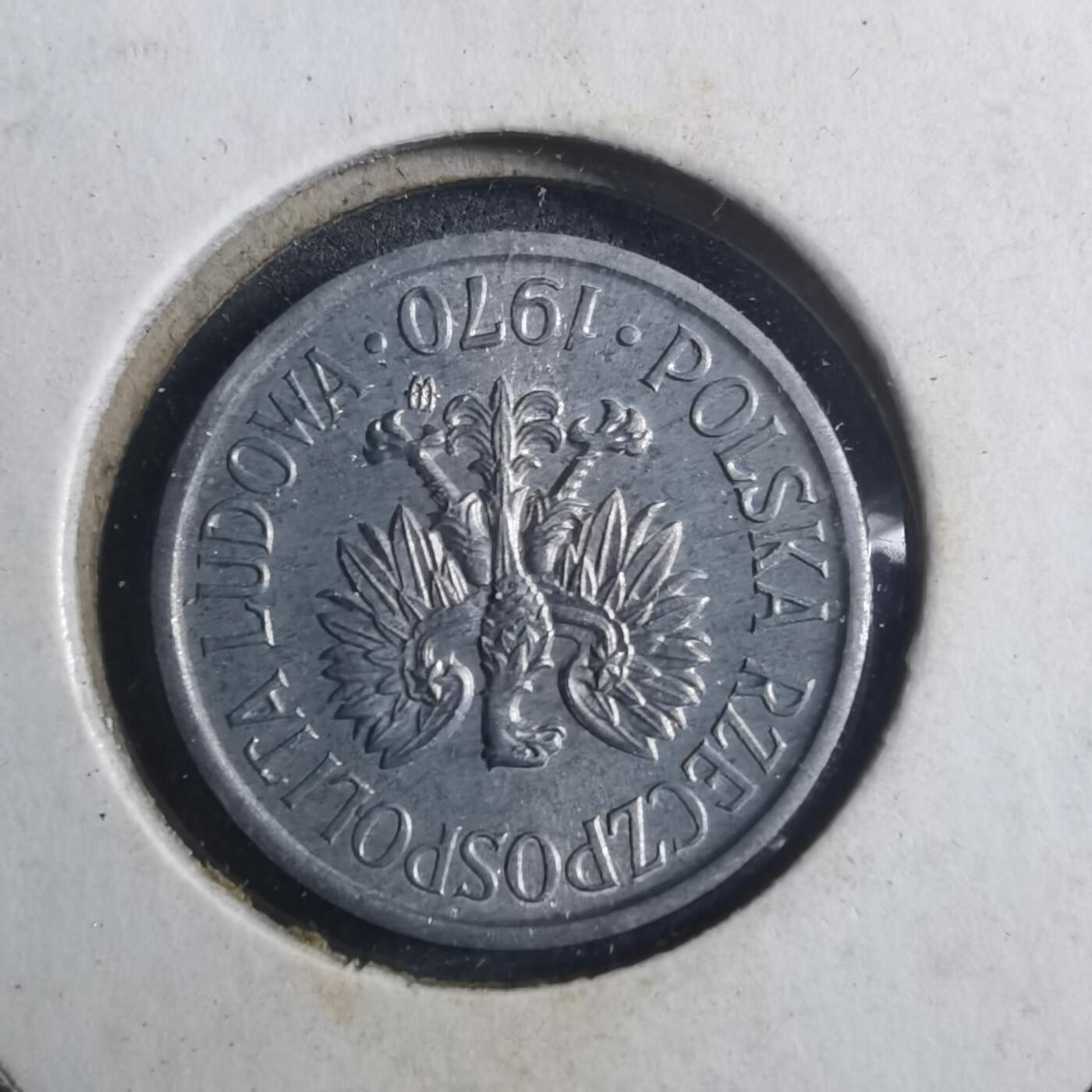 沼泽如烟--第893场