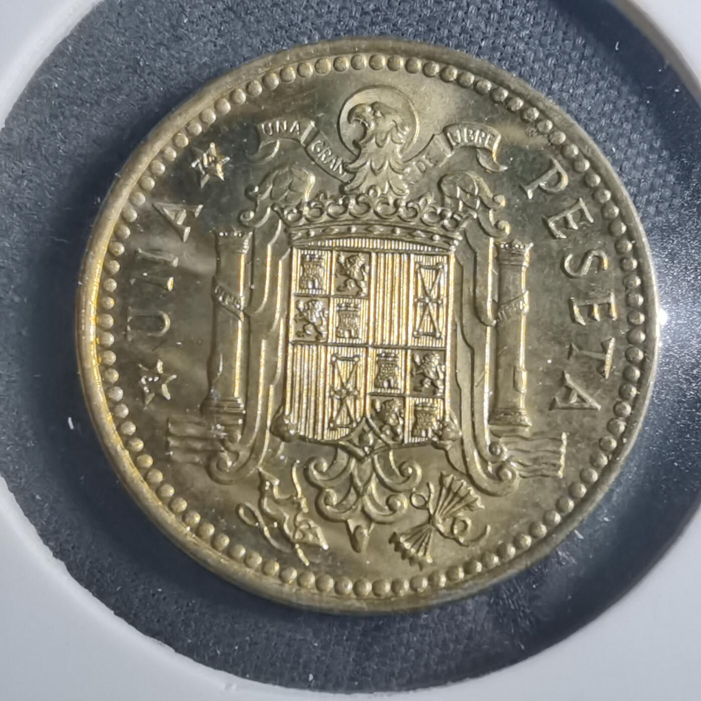 沼泽如烟--第893场