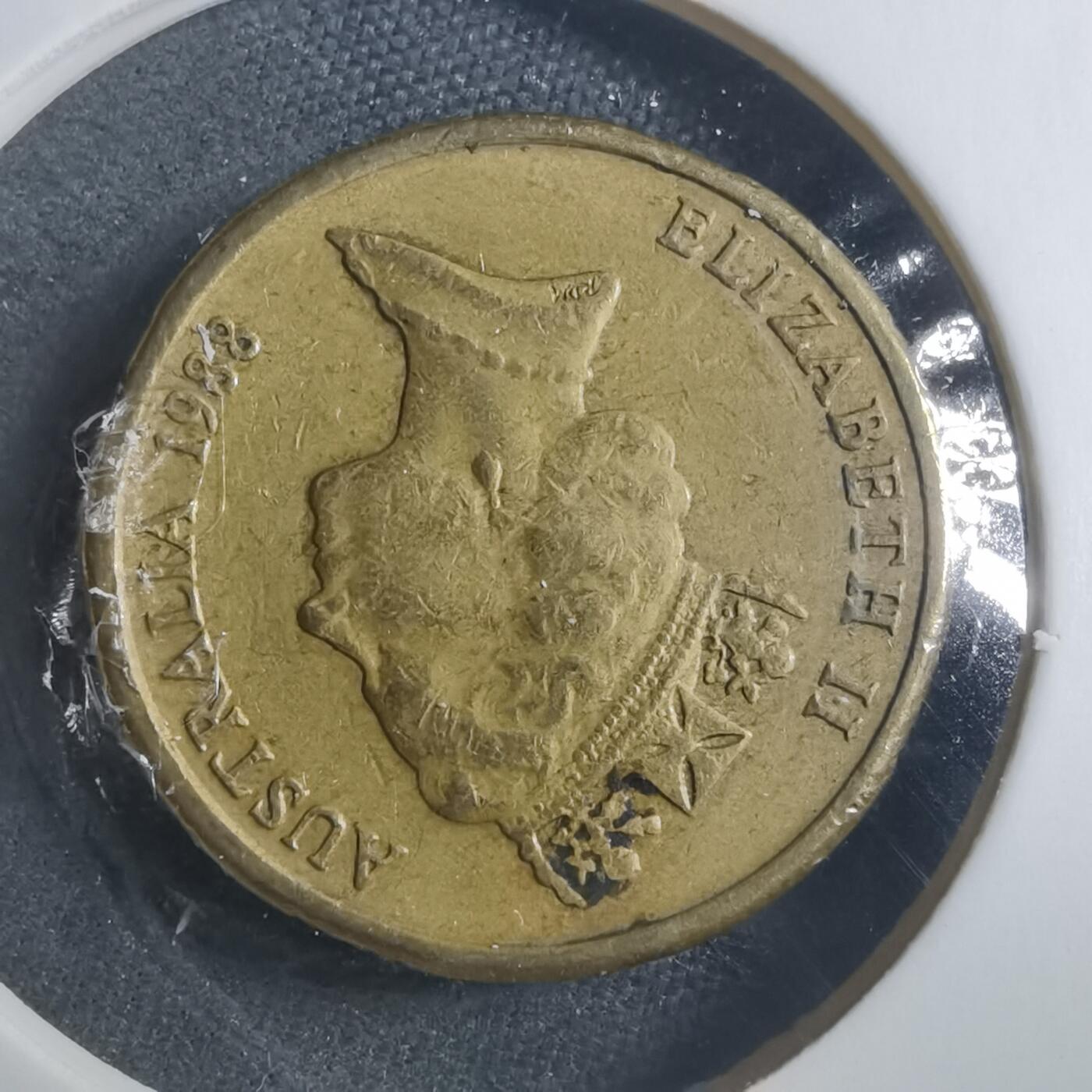 沼泽如烟--第893场