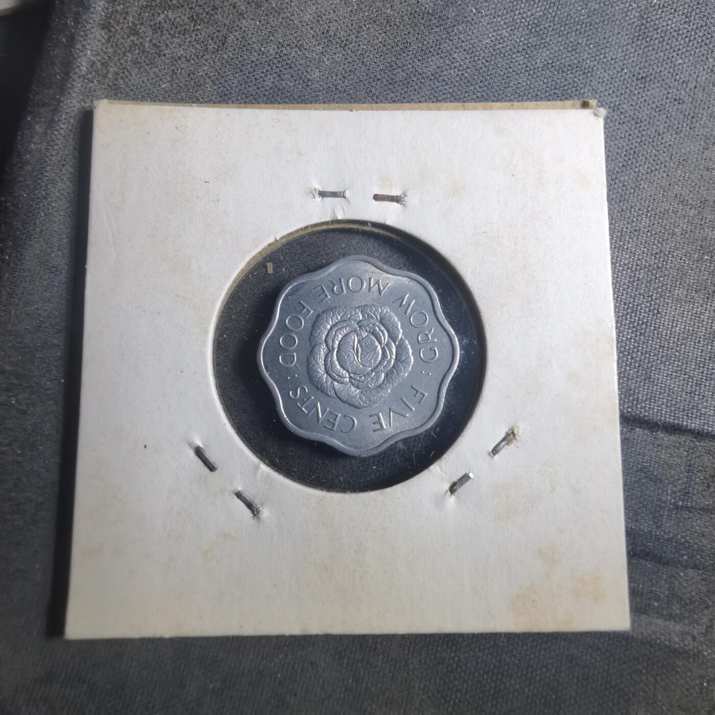 沼泽如烟--第893场