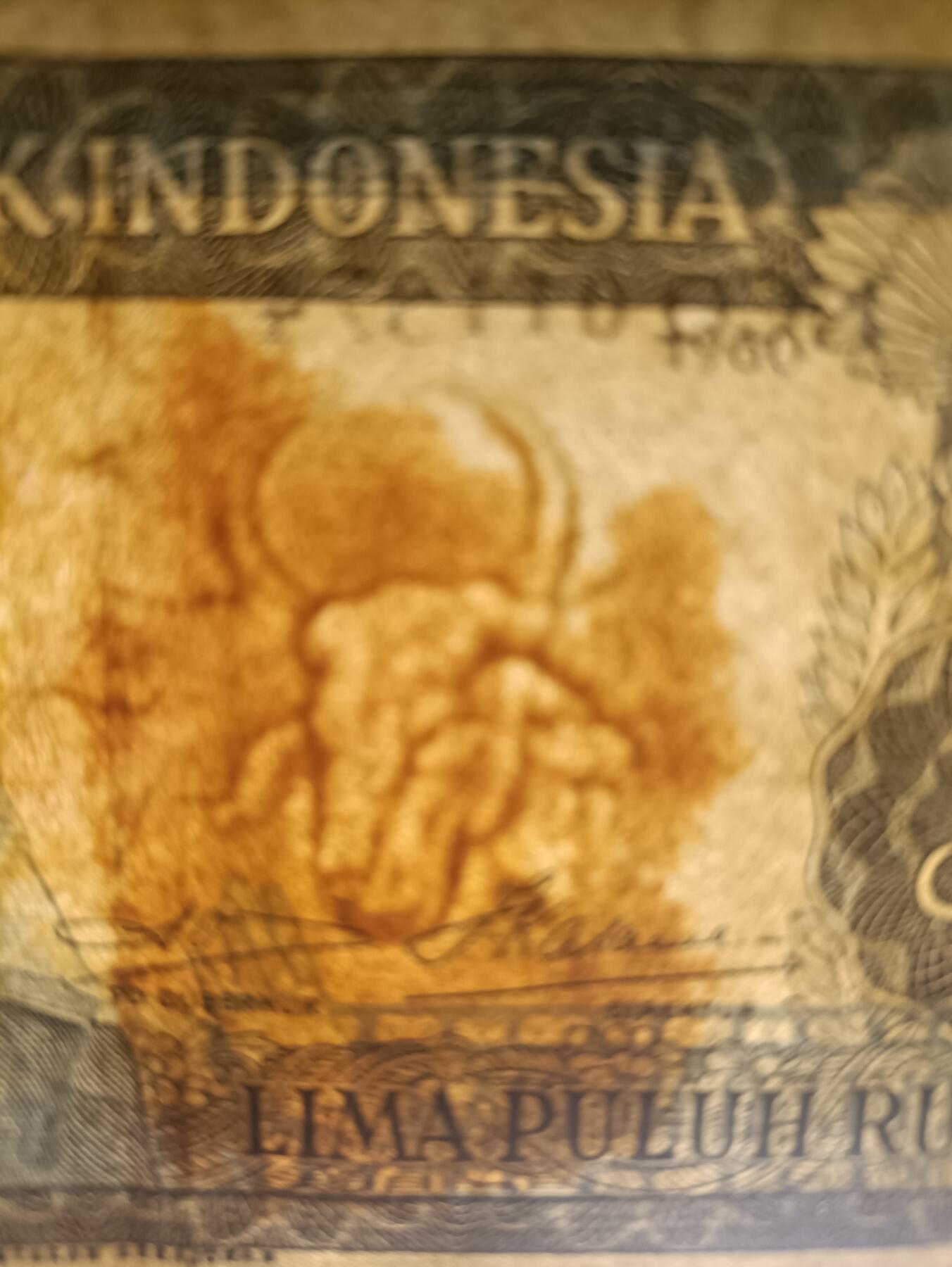 2025十一月第二期，总第200期