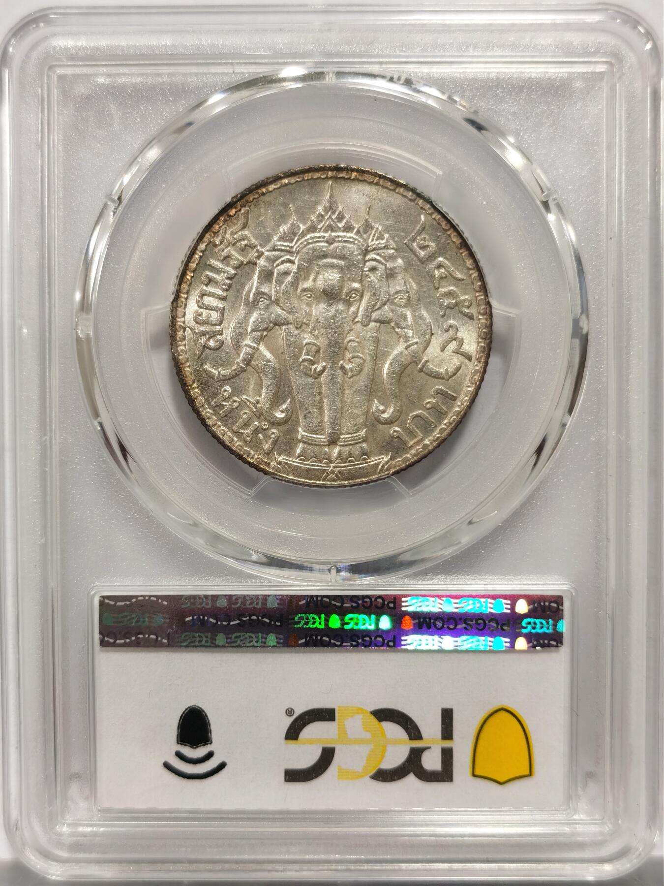 博洋堂“物美丰成”11月精品专场暨第145期（全场包邮）