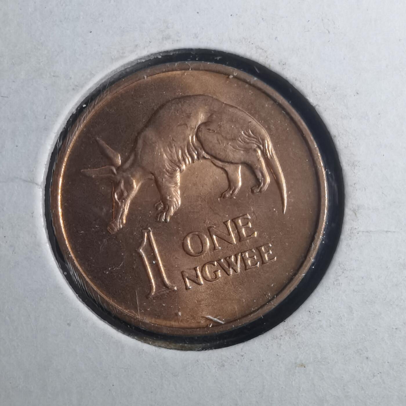 沼泽如烟--第893场 赞比亚1969年1恩韦