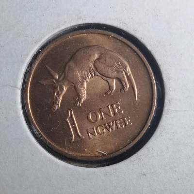 沼泽如烟--第893场 - 赞比亚1969年1恩韦