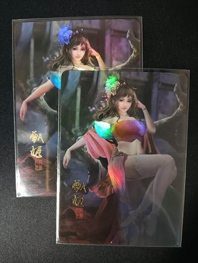 花开卡拍第46期（11月9号周日截拍，品控勿拍!!!拍品不寄存，运费5元，自制卡难免瑕疵，可能存在轻微撞角爆边等出厂瑕疵，品控介意勿拍！） - 纵横卡牌 三国美女-甄姬 二渐变 彩闪