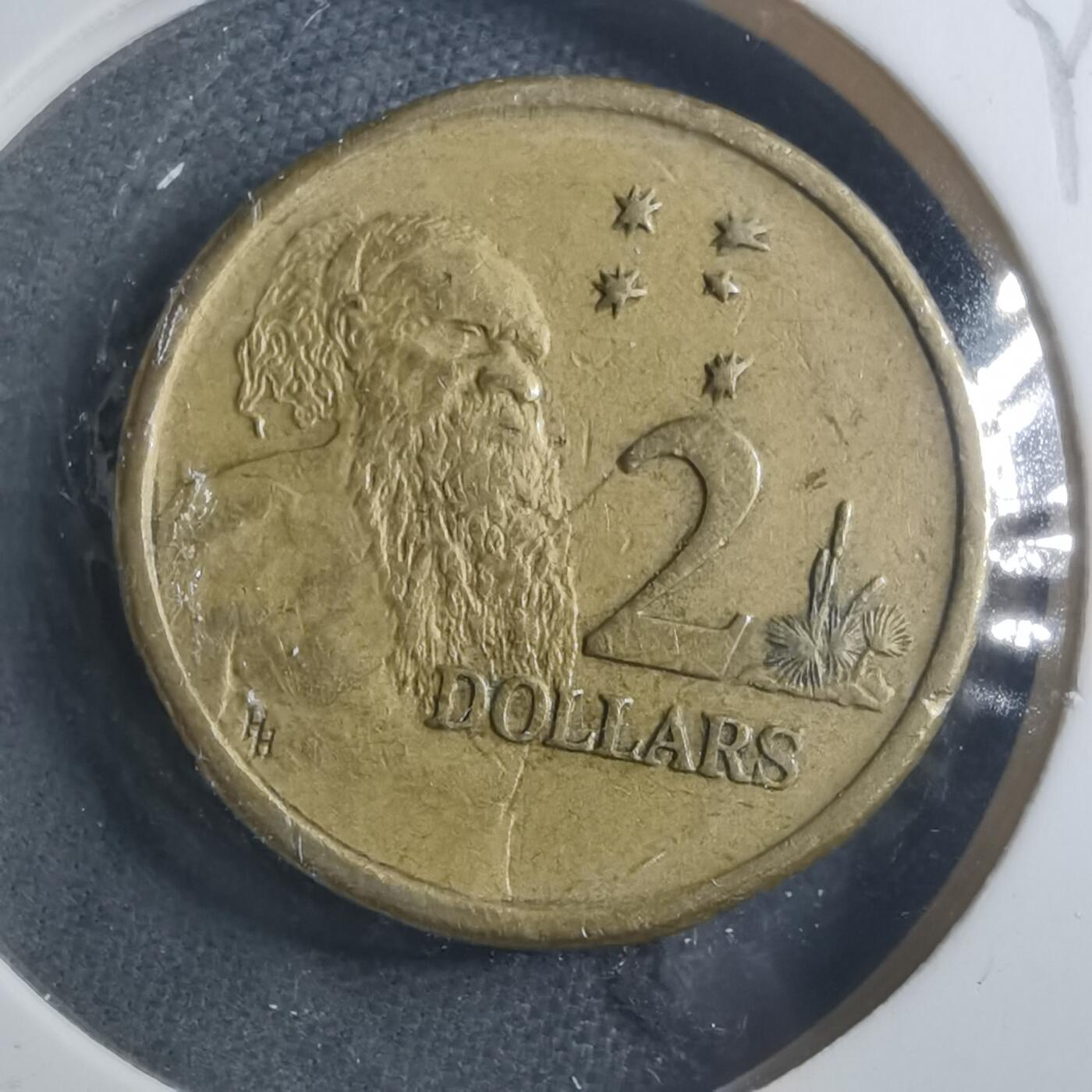 沼泽如烟--第893场