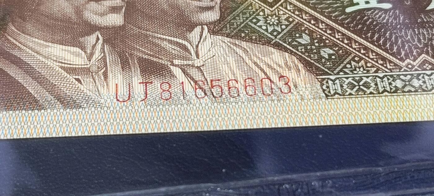 各种钱币拍场，可寄存满二百包邮 🔥🔥海鸥  燕尾民🔥🔥钱坤评级8001—黄金甲  姐妹花  趣味码   纤丝 趣味币（民），UJ81656603民字左侧多印，背面左下侧有个海鸥图案暗记，被称作：海鸥燕尾民。这种瑕疵版别非常稀少，已经很少有人上拍了！希望藏友们珍惜！绝对的未来潜力股！