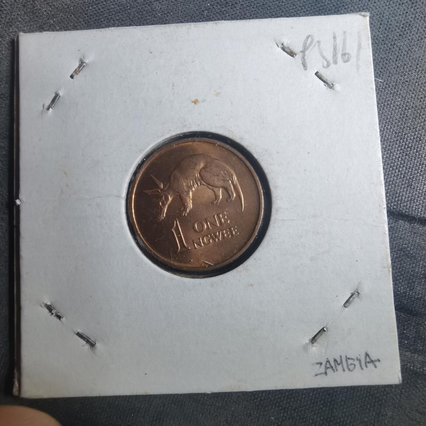 沼泽如烟--第893场 赞比亚1969年1恩韦