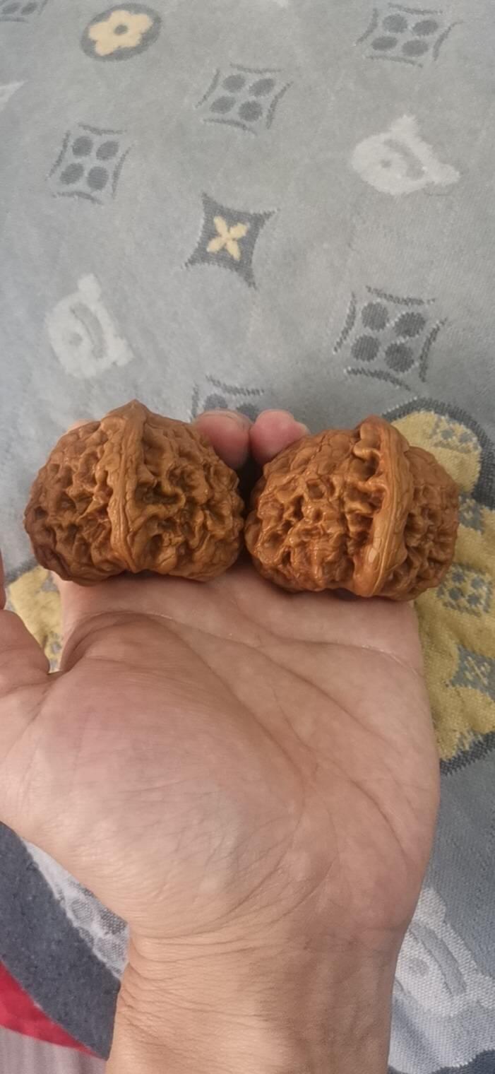 龙鼎核桃一对