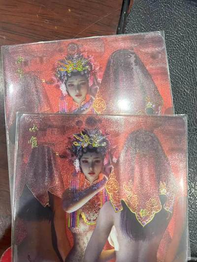 寸草不生拍卖会 第十三期 （ 持续收拍中） - 燎原卡牌 ST-Brush 老师 刷子老师作品 幻彩折光双服饰-小雀