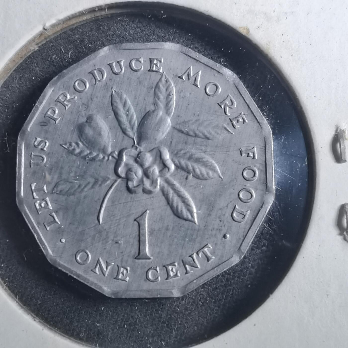 沼泽如烟--第893场