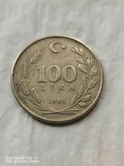 外币 - 土耳其100里拉