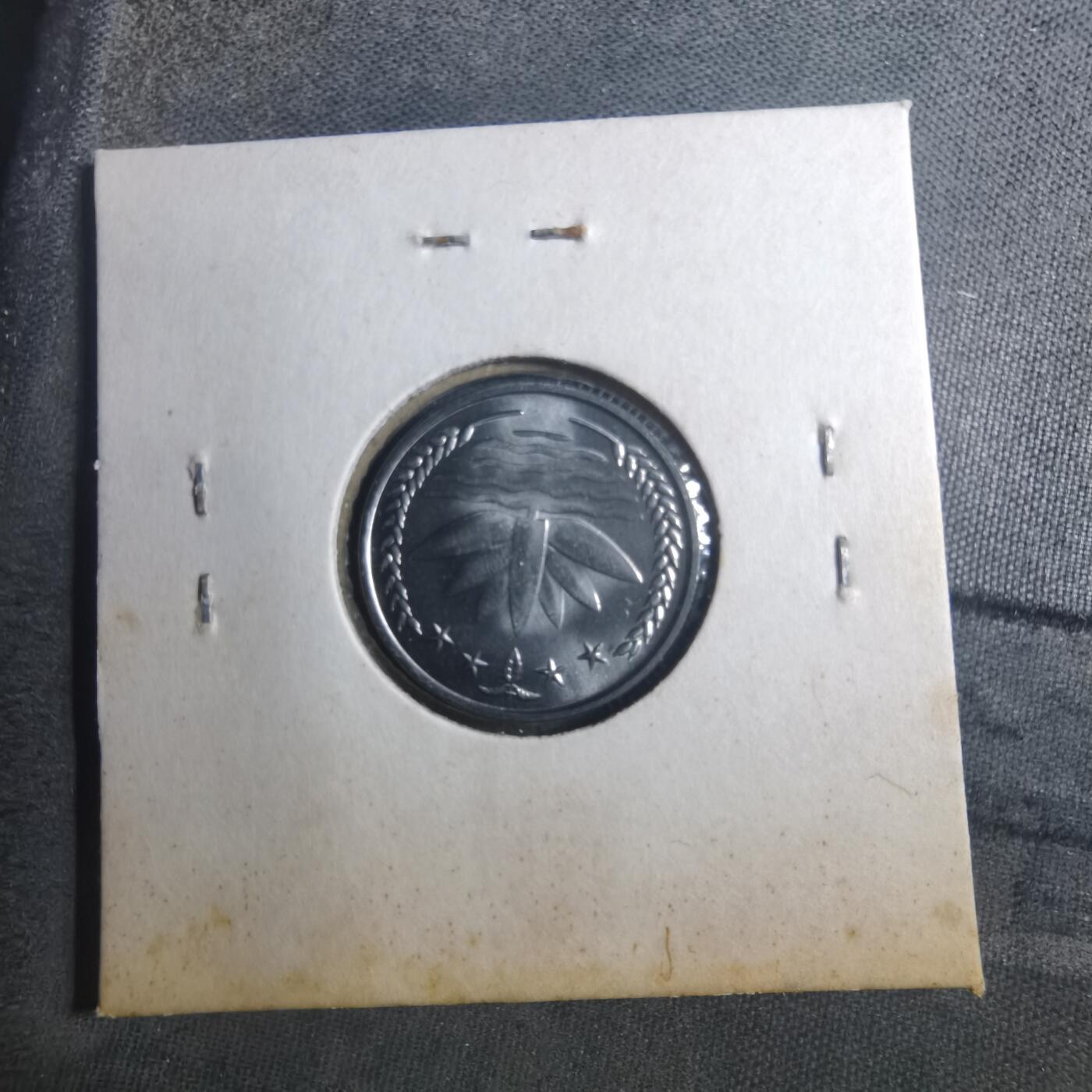 沼泽如烟--第893场