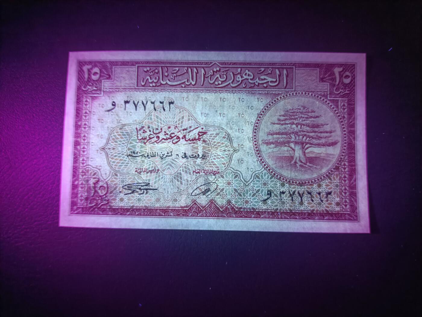 2025十一月第二期，总第200期