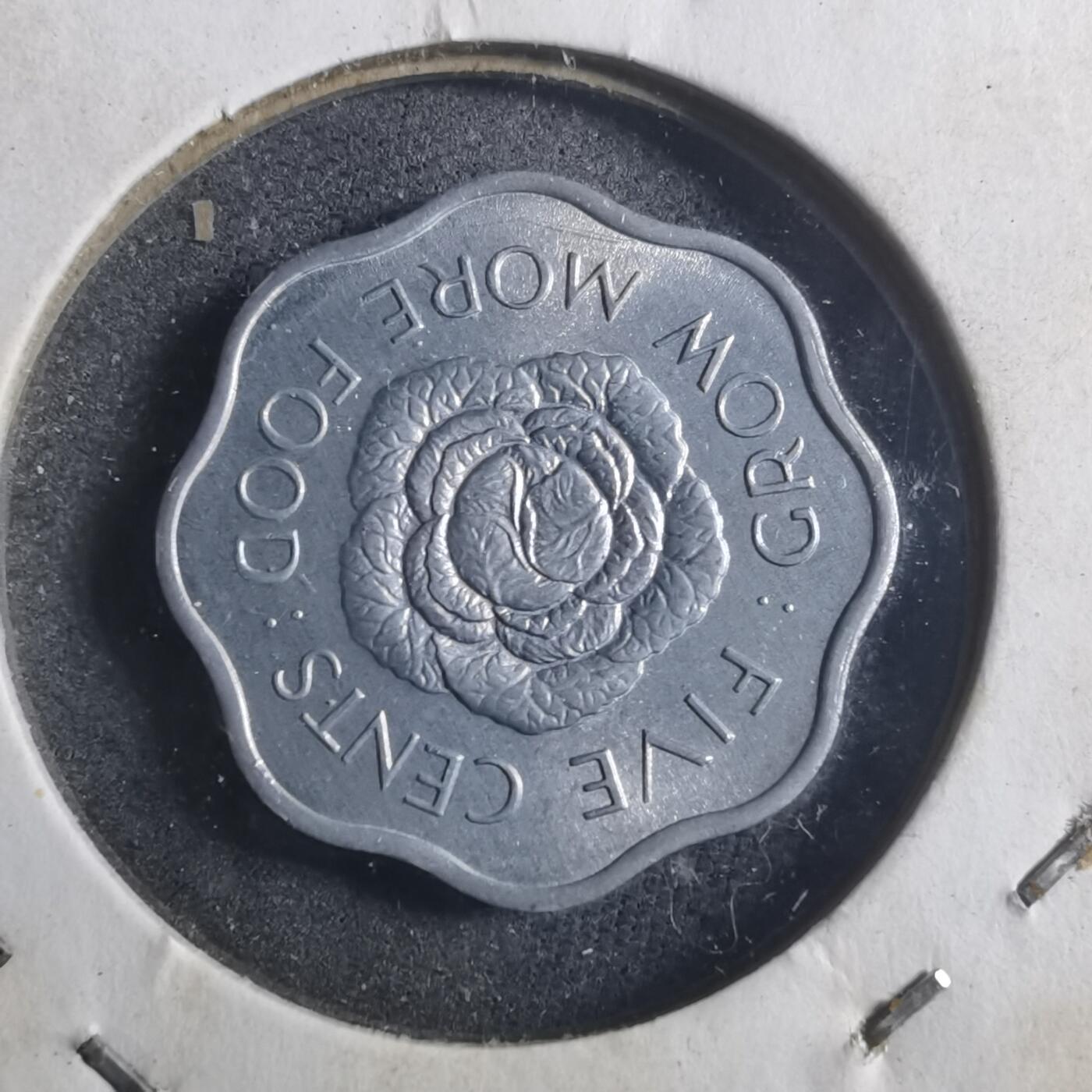 沼泽如烟--第893场