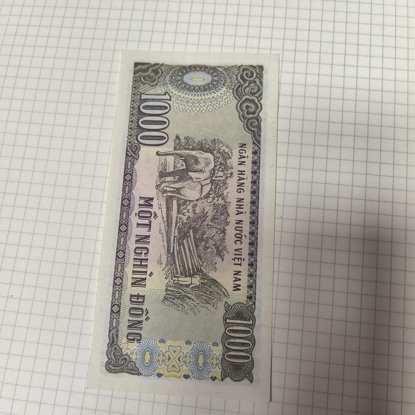 泡泡币外币第二十三场可代拍15038385335微信 纸币