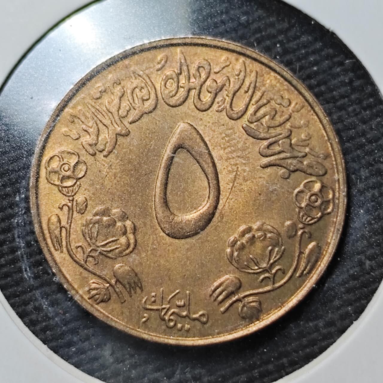 KK钱币收藏小铺  第365场  2月预留时间 周末发货  