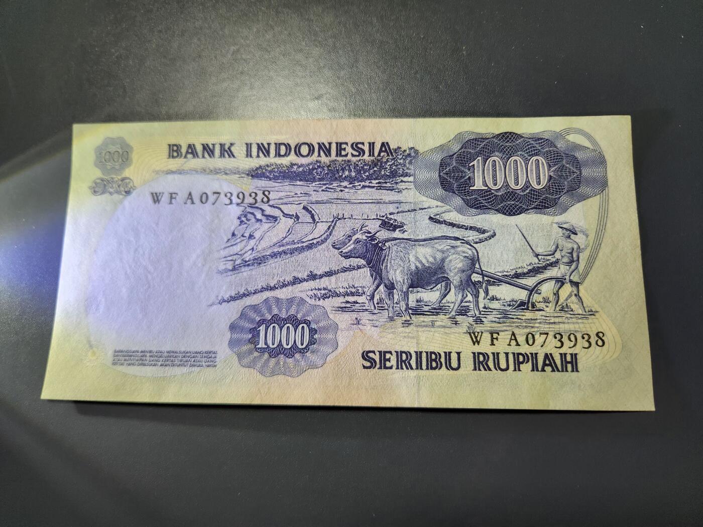 11月9号晚上8点 外国纸币自动截拍第54场 印度尼西亚100近新