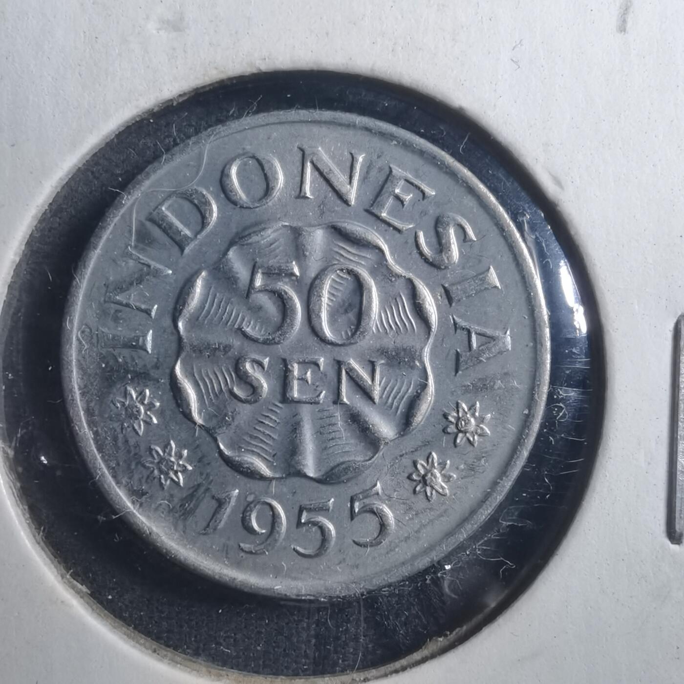 沼泽如烟--第893场 印度尼西亚1955年50分