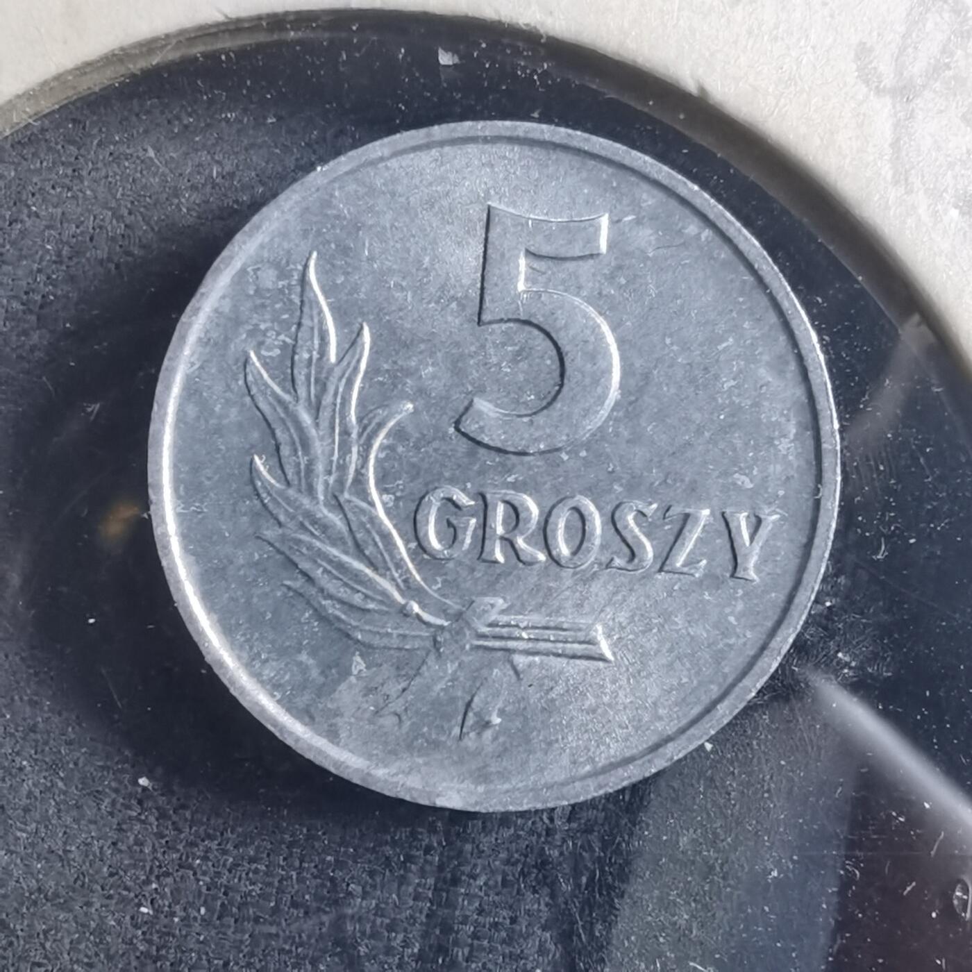 沼泽如烟--第893场