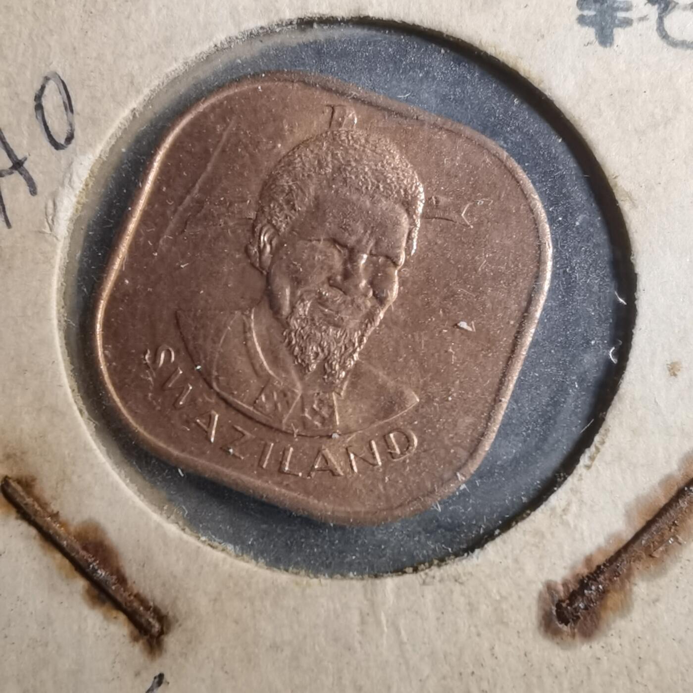 沼泽如烟--第893场