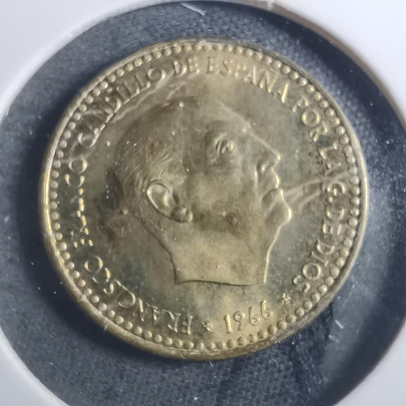 沼泽如烟--第893场