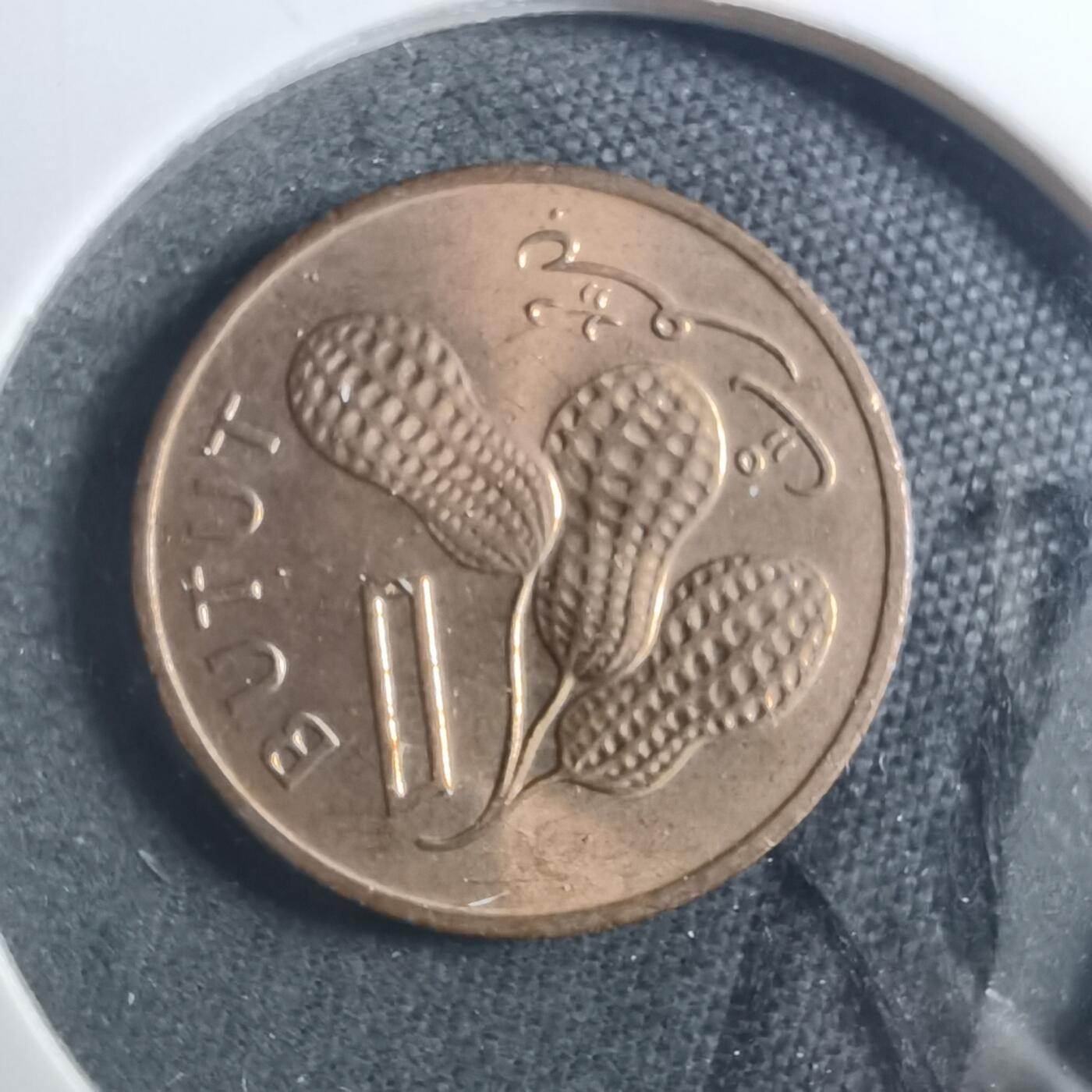 沼泽如烟--第893场