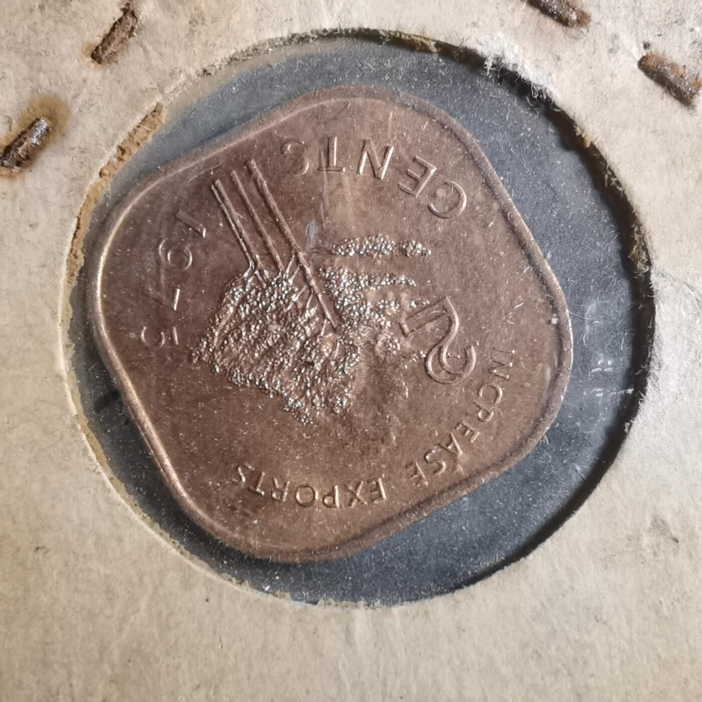 沼泽如烟--第893场