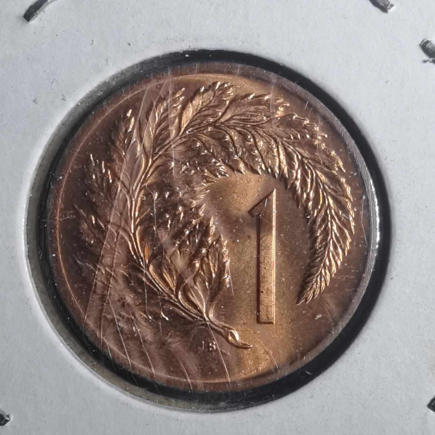 沼泽如烟--第893场