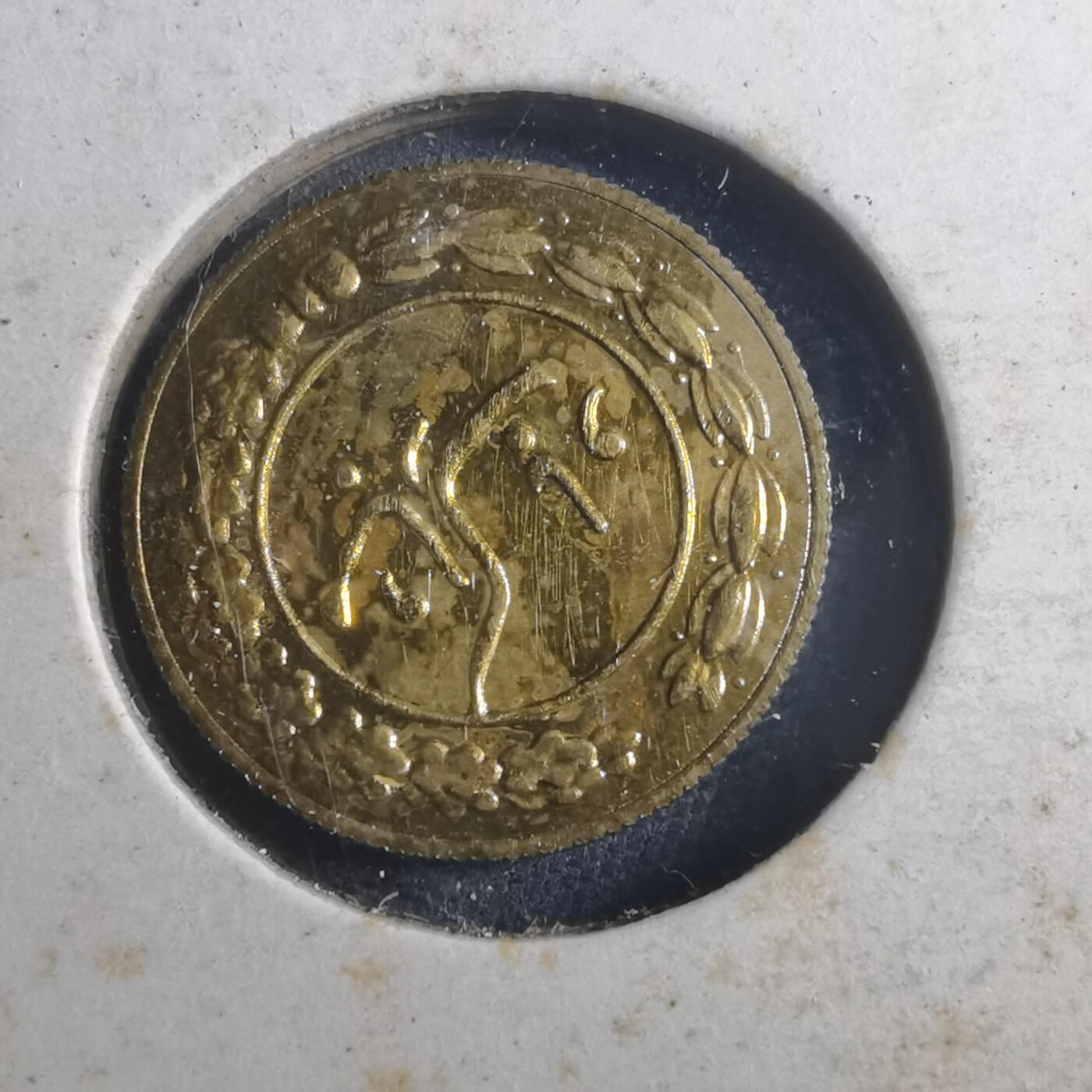 沼泽如烟--第893场 伊朗代币