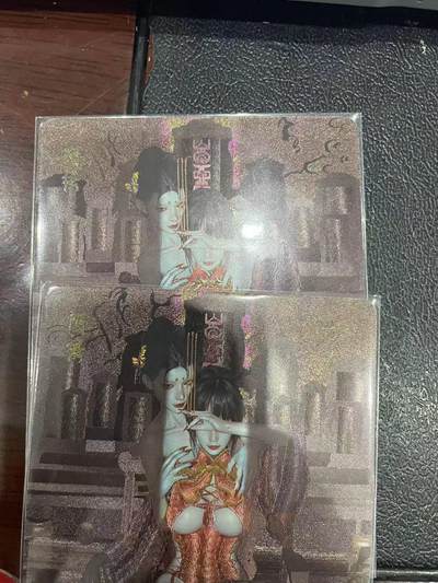 寸草不生拍卖会 第十三期 （ 持续收拍中） - 燎原卡牌 ST-Brush 老师 刷子老师作品 幻彩折光双服饰-阿秀