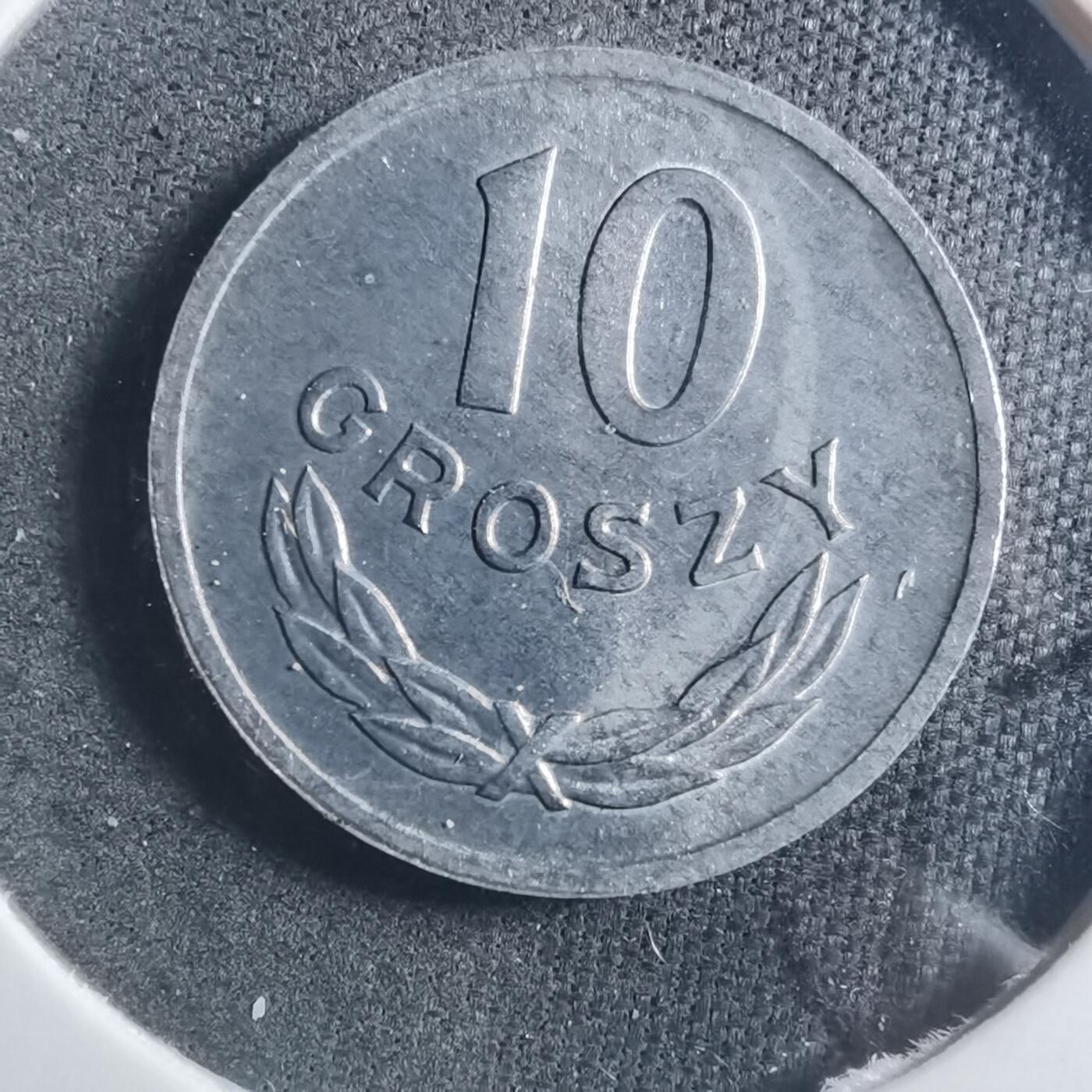 沼泽如烟--第893场