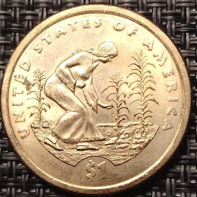 布加迪🐬～世界钱币(上海)🌾第 258 期 /  各国套币和散币 - 美国🇺🇸 2009年 1元 萨卡加维系列纪念币 植树节 27mm